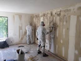 Forensic Mold Investigation in Trexlertown, PA